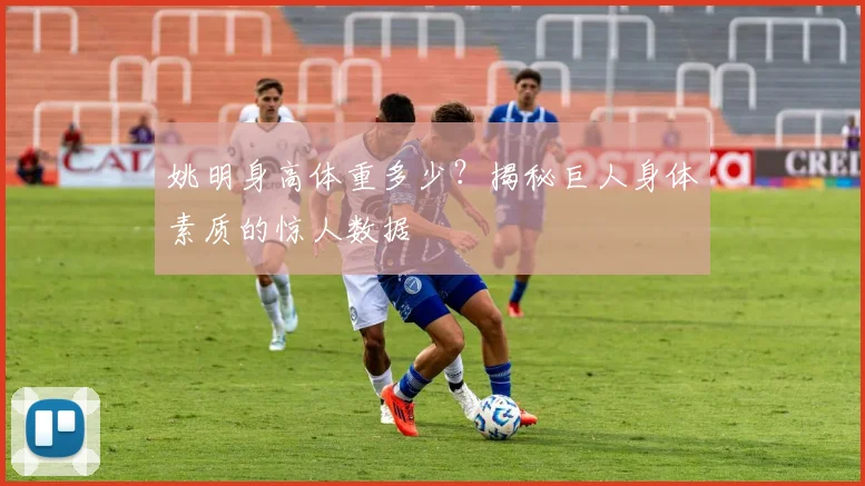 姚明身高体重多少?揭秘巨人身体素质的惊人数据