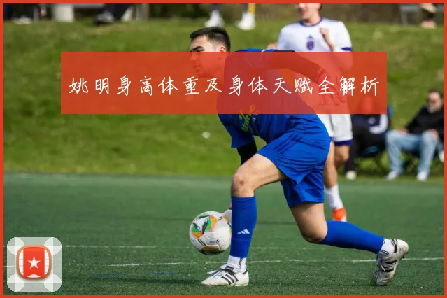 姚明身高体重及身体天赋全解析