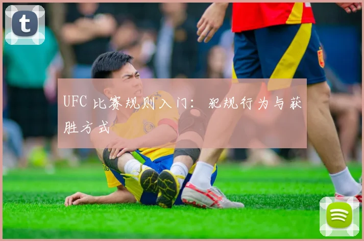 UFC 比赛规则入门:犯规行为与获胜方式