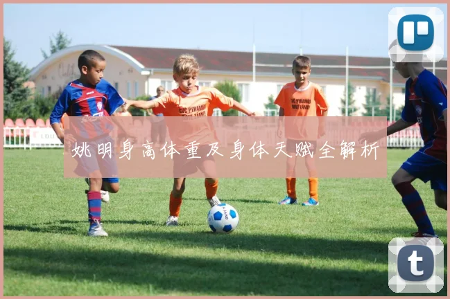 姚明身高体重及身体天赋全解析