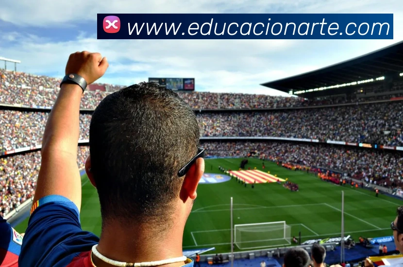 奖项证书